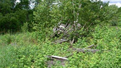 Summer 2010 with mom - Glanmire-(ghost-town)-Gallery7.jpg