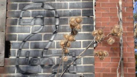 April 2017 - Beynon-House29.jpg