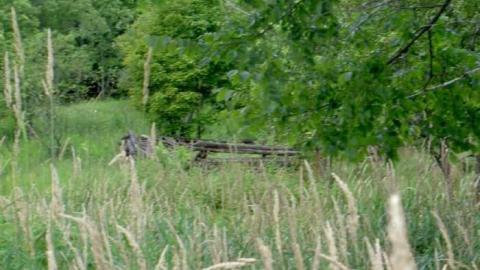 Summer 2010 with mom - Glanmire-(ghost-town)-Gallery8.jpg