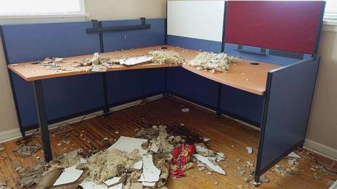 Mattresses & Mold photo 4