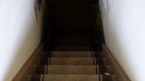 Swim For Mold '17 - DSC08198.jpg