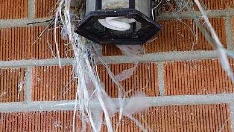 Swim For Mold '17 - DSC08202.jpg