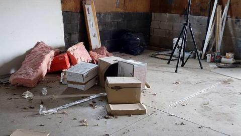 Swim For Mold '17 - DSC08204.jpg