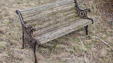 Swim For Mold '17 - DSC08219.jpg