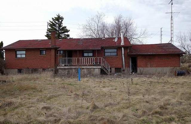 Mattresses & Mold photo 3