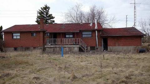 Mattresses & Mold photo 3