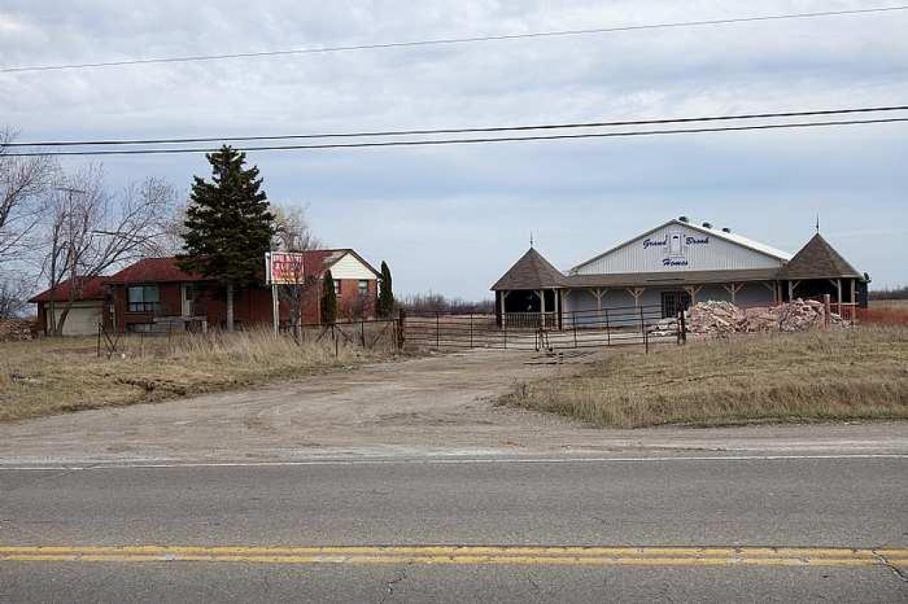 Swim For Mold '17 - DSC08238.jpg