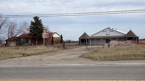 Mattresses & Mold photo 2