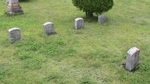 Ingoldsby Pioneer Cemetery photo 5