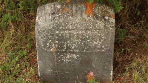 Ingoldsby Pioneer Cemetery - Minden Hills, Ontario