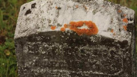 Ingoldsby Cemetery 1 - Ingoldsby-Pioneer-Cemetery21.jpg