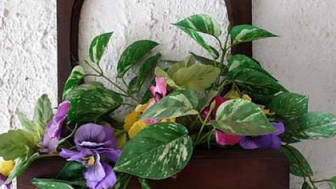 1 For 3 '17 - Mr.-and-Mrs.-Sauga25.jpg