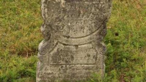 Photo from Ingoldsby Cemetery 2