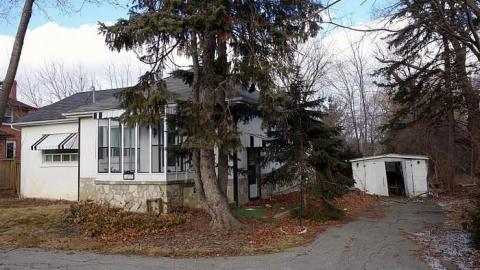 1 For 3 '17 - Mr.-and-Mrs.-Sauga63.jpg