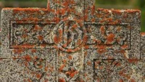 Ingoldsby Cemetery 2 - Ingoldsby-Pioneer-Cemetery30.jpg