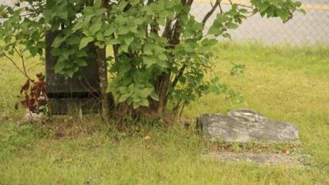 Ingoldsby Cemetery 2 - Ingoldsby-Pioneer-Cemetery32.jpg