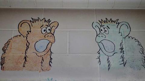 Helping Hands '17 - DSC04697.jpg