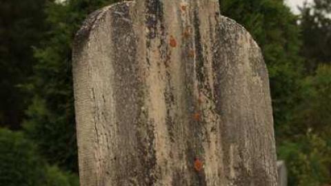 Ingoldsby Cemetery 2 - Ingoldsby-Pioneer-Cemetery37.jpg