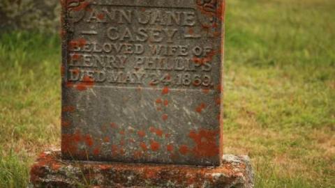 Photo from Ingoldsby Cemetery 2