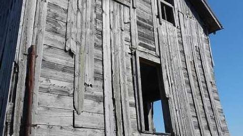 After the Melt - DSCN0250.jpg