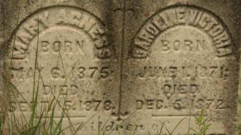 Ingoldsby Cemetery 2 - Ingoldsby-Pioneer-Cemetery43.jpg