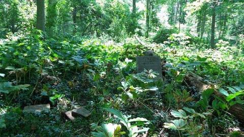 Photo from July 2014