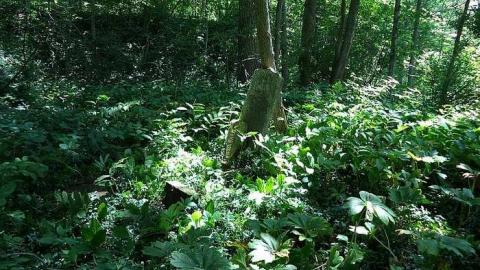 Photo from July 2014