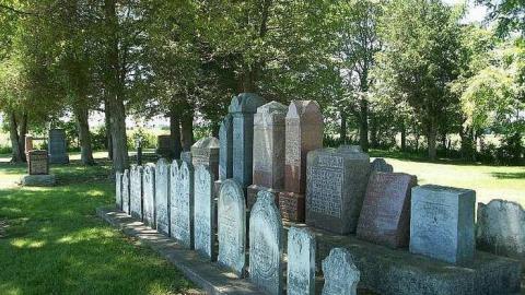 Kittens!! - Lotan-pioneer-Cemetery25.jpg