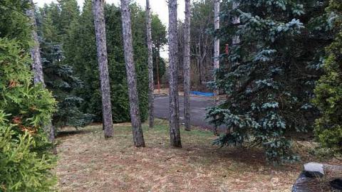 She's Gone!!!!! - Abandoned-Grow-Op-Mansion--Drug-Dealers-Mansion--King-City7.jpg