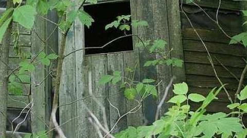 Caught before collapse - Lady-in-the-Window24.jpg