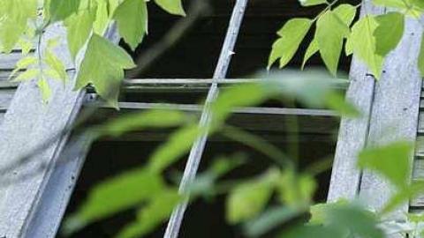 Caught before collapse - Lady-in-the-Window32.jpg