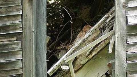 Caught before collapse - Lady-in-the-Window26.jpg