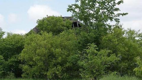 Photo from Caught before collapse