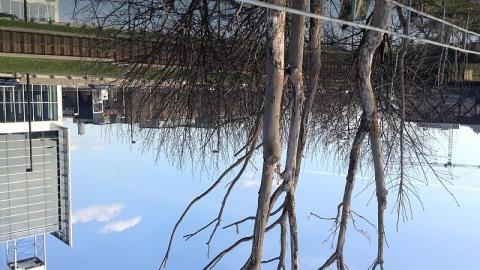 April 2017 - Don-River-Bridge18.jpeg