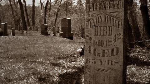 Pioneer Cemetary - Wilsons-Hill-Cemetery66.jpeg