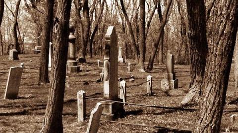 Pioneer Cemetary - Wilsons-Hill-Cemetery64.jpeg