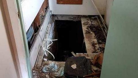 Three in One - 20170423_173232_001.jpg