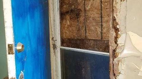 Three in One - 20170423_173322.jpg