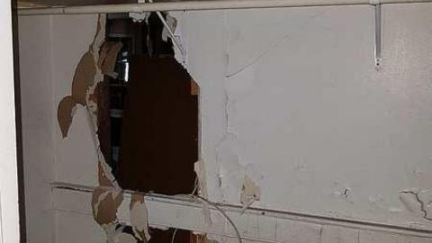 Three in One - 20170423_172956.jpg