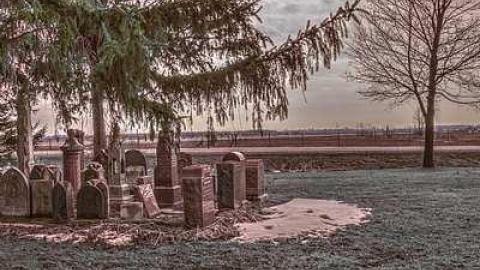 His Record Is On High - Huron-Park-Pioneer-Cemetery27.jpg