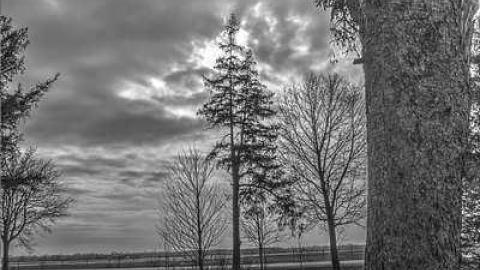 His Record Is On High - Huron-Park-Pioneer-Cemetery40.jpg