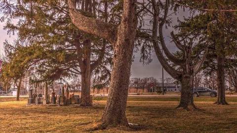 His Record Is On High - Huron-Park-Pioneer-Cemetery28.jpg
