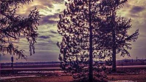 His Record Is On High - Huron-Park-Pioneer-Cemetery29.jpg