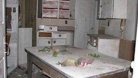 Photo from Moldy Oldy