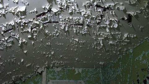 Moldy Oldy - 12A.jpg