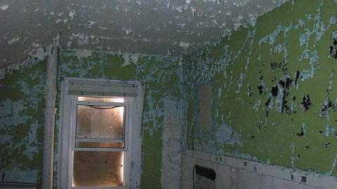 Photo from Moldy Oldy