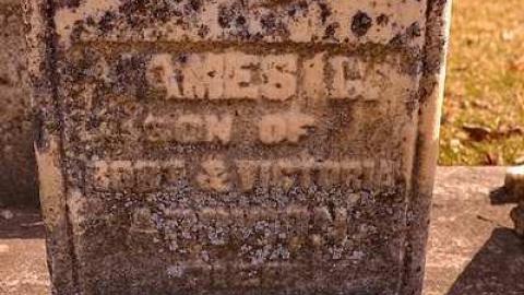 Death Hath No Sting - Summerville-Pioneer-Cemetery3.jpg