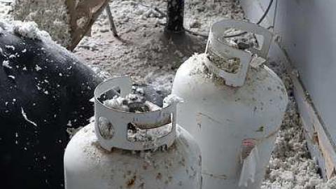 CCC Sleazy Tour '17 - DSC06374.jpg