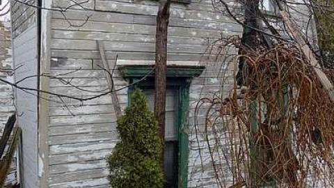 Crazy Collapse '17 - DSC06568.jpg