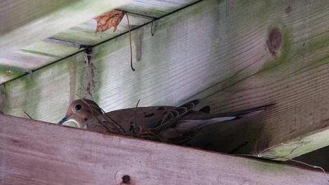 Poignant Memories - Someones-been-living-here27.jpg